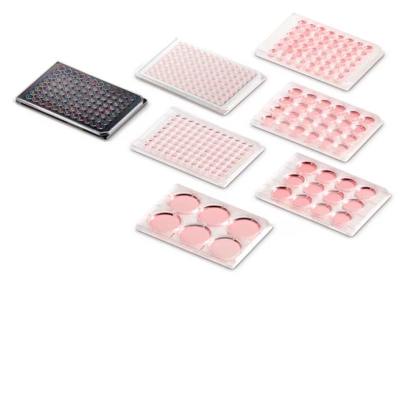 ПЛАНШЕТ КУЛЬТУРАЛЬНИЙ BIOLITE 6-ЛУНКОВИЙ ПЛАСКОДОННИЙ З ПОВЕРХНЕЮ РОСТУ 9.6 СМ² СТЕРИЛЬНИЙ З КРИШКОЮ